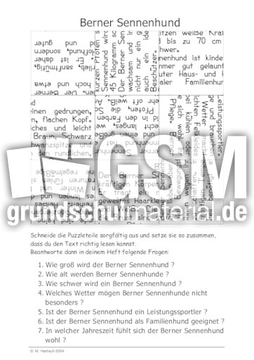 Berner Sennenhund.pdf